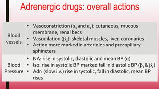 Adrenergic drugs: overall actions
Blood
vessels
• Vasoconstriction (α1 and α2): cutaneous, mucous
membrane, renal beds
• Vasodilation (β2): skeletal muscles, liver, coronaries
• Action more marked in arterioles and precapillary
sphincters
Blood
Pressure
• NA: rise in systolic, diastolic and mean BP (α)
• Iso: rise in systolic BP, marked fall in diastolic BP (β1 &β2)
• Adr: (slow i.v.) rise in systolic, fall in diastolic, mean BP
rises
 