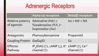 Adrenergic Receptors
Alpha (α) receptors Beta(β) receptors
Relative potency
of agonists
Adrenaline (Adr) ≥
Noradrenaline (NA )>
Isoprenaline (Iso)
Iso > Adr > NA
Antagonists Phenoxybenzamine Propanolol
Coupling Protein Go/Gq/Gi Gs
Effector
Pathway
IP3/DAG (↑), cAMP (↓), K+
channel (↑)
cAMP (↑), Ca2+
channel (↑)
 