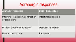Adrenergic responses
Alpha (α) receptors Beta (β) receptors
Intestinal relaxation, contraction
of sphincters
Intestinal relaxation
Bladder trigone contraction Detrusor relaxation
Uterus contraction Relaxation
 