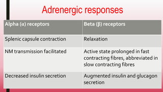 Adrenergic responses
Alpha (α) receptors Beta (β) receptors
Splenic capsule contraction Relaxation
NM transmission facilitated Active state prolonged in fast
contracting fibres, abbreviated in
slow contracting fibres
Decreased insulin secretion Augmented insulin and glucagon
secretion
 