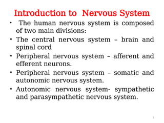 Cyndars System adrenergic. system. and drugs.pptx