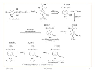 9/15/2019 10M K Munde
 