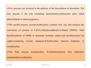 Five enzymes are involved in the pathway of the biosynthesis of adrenaline. The
first enzyme is the iron containing phenylalanine-hydroxylase (also called
phenylalanine-4- monooxygenase).
The second enzyme, tyrosine-hydroxylase, contains iron, too, and catalyses the
conversion of tyrosine to L-β-(3,4-dihydroxyphenyl)-α-alanine (DOPA). After
decarboxylation of DOPA to dopamine (aromatic amino-acid decarboxylase) the
copper-containing enzyme dopamine-β-hydroxylase converts dopamine to
noradrenaline.
The final enzyme noradrenaline- N-methyltransferase then methylates
noradrenaline to adrenaline.
9/15/2019 6M K Munde
 