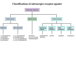 Classifications of adrenergics receptor agonist
 