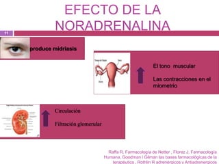 EFECTO DE LA
11
              NORADRENALINA
     produce midriasis


                                                               El tono muscular

                                                               Las contracciones en el
                                                               miometrio



              Circulación

              Filtración glomerular




                                        Raffa R. Farmacología de Netter , Florez J. Farmacología
                                      Humana, Goodman i Gilman las bases farmacológicas de la
                                          terapéutica , Rothlin R adrenérgicos y Antiadrenergicos
 