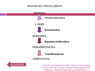 SÍNTESIS DE CATECOLAMINAS

               TIROSINA
                         Tirosina-hidroxilasa

                L-DOPA

                         Descarboxilasa

              DOPAMINA

                        Dopamina-b-hidroxilasa

              NORADRENALINA

                         N-metiltransferasa

              ADRENALINA

REGRESAR              Raffa R. Farmacologia de Netter , Florez J. Farmacologia
                    Humana, Goodman i Gilman las bases farmacologicas de la
                       terapeutica , Rothlin R adrenergicos y Antiadrenergicos .
 