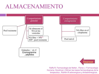 ALMACENAMIENTO
                       Compartimiento                              Compartimiento
                          granular                                  extragranular


                          Se almacena el
Pool resistente             NA en las                                              NA libre en el
                             vesículas                                              citoplasma

                         NA libre + NA
                         ATP : pool resistente                       Pool móvil




                  Gránulos : vit. C
                  Cromogranina
                     , péptidos


                                                                                           Regresar

                                                   Raffa R. Farmacologia de Netter , Florez J. Farmacologia
                                                 Humana, Goodman i Gilman las bases farmacologicas de la
                                                    terapeutica , Rothlin R adrenergicos y Antiadrenergicos .
 