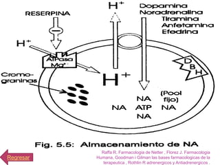 Raffa R. Farmacologia de Netter , Florez J. Farmacologia
Regresar   Humana, Goodman i Gilman las bases farmacologicas de la
              terapeutica , Rothlin R adrenergicos y Antiadrenergicos .
 