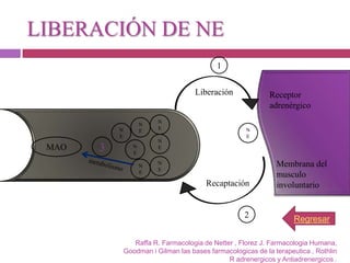 LIBERACIÓN DE NE
                                                    1


                                             Liberación              Receptor
                                                                     adrenérgico
                                 N
                             N
                  N              E                           N
                             E
                  E                                          E
                                 N
 MAO         3           N
                         E
                                 E


                             N
                                 N                                     Membrana del
                                 E
                             E
                                                                       musculo
                                                Recaptación            involuntario
 TERMINACION NERVIOSA
 ADRENERGICA
                                                             2               Regresar

                         Raffa R. Farmacologia de Netter , Florez J. Farmacologia Humana,
                      Goodman i Gilman las bases farmacologicas de la terapeutica , Rothlin
                                                       R adrenergicos y Antiadrenergicos .
 