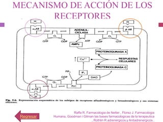 MECANISMO DE ACCIÓN DE LOS
       RECEPTORES




                       Raffa R. Farmacologia de Netter , Florez J. Farmacologia
 Regresar   Humana, Goodman i Gilman las bases farmacologicas de la terapeutica
                                   , Rothlin R adrenergicos y Antiadrenergicos .
 