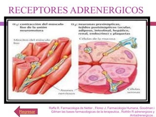 RECEPTORES ADRENERGICOS




            Raffa R. Farmacologia de Netter , Florez J. Farmacologia Humana, Goodman i
 Regresar    Gilman las bases farmacologicas de la terapeutica , Rothlin R adrenergicos y
                                                                        Antiadrenergicos .
 