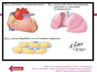 Raffa R. Farmacologia de Netter , Florez J. Farmacologia
Regresar   Humana, Goodman i Gilman las bases farmacologicas de la terapeutica
                                  , Rothlin R adrenergicos y Antiadrenergicos .
 