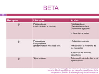 BETA
25


     Receptor        Ubicación                                   Acción
                β1   Postganglionar                                gasto cardiaco
                     (predominio en el corazón)                    frecuencia cardiaca
                                                                   fracción de eyección

                                                                 •Liberación de rerina



                β2   Preganglionar                               •Relajación muscular
                     Postganglionar
                     (predomínate en músculos lisos)             •Inhibición de la histamina de
                                                                 los mastocitos

                                                                 •Dilatación del musculo
                                                                 esquelético
                β3   Tejido adiposo                              Estimulación de la lipolisis en el
                                                                 tejido adiposo


                                        Raffa R. Farmacología de Netter , Florez J. Farmacología
                                      Humana, Goodman i Gilman las bases farmacológicas de la
                                          terapéutica , Rothlin R adrenérgicos y Antiadrenergicos
 