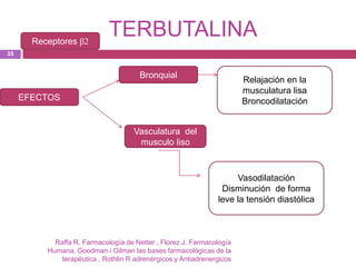 Receptores β2
                             TERBUTALINA
35


                                       Bronquial
                                                                        Relajación en la
                                                                        musculatura lisa
     EFECTOS                                                            Broncodilatación


                                     Vasculatura del
                                      musculo liso



                                                                     Vasodilatación
                                                                 Disminución de forma
                                                                leve la tensión diastólica



            Raffa R. Farmacología de Netter , Florez J. Farmacología
          Humana, Goodman i Gilman las bases farmacológicas de la
              terapéutica , Rothlin R adrenérgicos y Antiadrenergicos
 