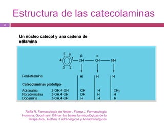 Estructura de las catecolaminas
4



     Un núcleo catecol y una cadena de
     etilamino




        Raffa R. Farmacología de Netter , Florez J. Farmacología
      Humana, Goodman i Gilman las bases farmacológicas de la
          terapéutica , Rothlin R adrenérgicos y Antiadrenergicos
 