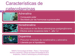 Características de
6
    catecolaminas
                  Adrenalina
                  • Compuesto polar
                  • Secretado por las hormonas suprarrenales

                  Noradrenalina
                  • Se produce en las fibras adrenérgicas postganglionares
                  • Efectos sobre receptores beta 1 , alfa 1,2

                  Dopamina
                  • Precursor inmediato de noradrenalina y adrenalina
                  • Liberada por el hipotálamo


        Raffa R. Farmacología de Netter , Florez J. Farmacología
      Humana, Goodman i Gilman las bases farmacológicas de la
          terapéutica , Rothlin R adrenérgicos y Antiadrenergicos
 