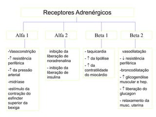 Receptores Adrenérgicos
Beta 2
Alfa 1 Alfa 2 Beta 1
-Vasoconstrição
- resistência
periférica
- da pressão
arterial
-midríase
-estímulo da
contração do
esfincter
superior da
bexiga
- inibição da
liberação de
noradrenalina
- inibição da
liberação de
insulina
- taquicardia
-  da lipóllise
-  da
contratilidade
do miocárdio
- vasodilatação
-  resistência
periférica
-broncodilatação
-  glicogenólise
muscular e hep.
-  liberação do
glucagon
- relaxamento da
musc. uterina
 