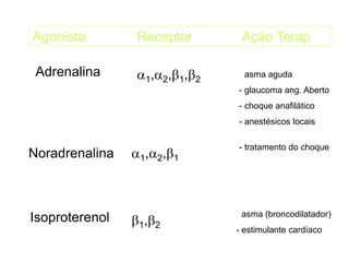 Agonista Receptor Ação Terap
Adrenalina 1,2,1,2
- asma aguda
- glaucoma ang. Aberto
- choque anafilático
- anestésicos locais
Noradrenalina 1,2,1
- tratamento do choque
Isoproterenol 1,2
- asma (broncodilatador)
- estimulante cardíaco
 