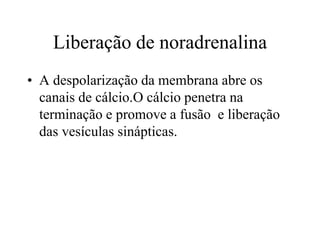 Liberação de noradrenalina
• A despolarização da membrana abre os
canais de cálcio.O cálcio penetra na
terminação e promove a fusão e liberação
das vesículas sinápticas.
 