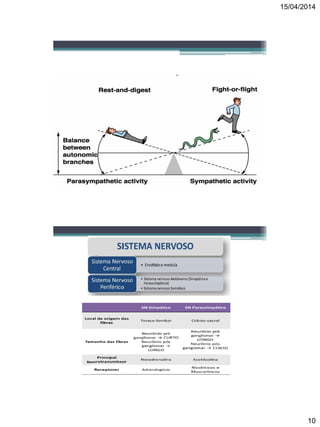 15/04/2014
10
Sistema Nervoso Autônomo
 