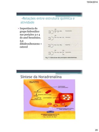 15/04/2014
20
-Relações entre estrutura química e
atividade
• Importância do
grupo hidroxílico
nas posições 3 e 4
do anel benzênico.
3,4
dihidroxibenzeno =
catecol
Síntese da Noradrenalina
 