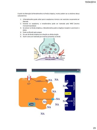 15/04/2014
23
46
NA
MAO
2
NA
Ca2+
X
Ca2+
R
R
PA
RESPOSTARESPOSTA
NA
NA
NA
NA
NA
NA
NAAMPc
(-)
NA
NA
NA
NA
NA
COMTNA
NANA
 