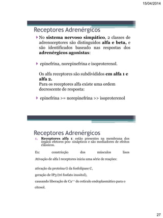 15/04/2014
27
Receptores Adrenérgicos
 No sistema nervoso simpático, 2 classes de
adrenoceptores são distinguidos alfa e beta, e
são identificados baseado nas respostas dos
adrenérgicos agonistas:
 epinefrina, norepinefrina e isoproterenol.
Os alfa receptores são subdivididos em alfa 1 e
alfa 2.
Para os receptores alfa existe uma ordem
decrescente de resposta:
 epinefrina >= norepinefrina >> isoproterenol
Receptores Adrenérgicos
1. Receptores alfa 1: estão presentes na membrana dos
órgãos efetores pós- sinápticos e são mediadores de efeitos
clássicos.
Ex: constricção dos músculos lisos
Ativação de alfa l receptores inicia uma série de reações:
ativação da proteína G da fosfolipase C,
geração de IP3 (tri fosfato inusitol),
causando liberação de Ca++ do retículo endoplasmático para o
citosol.
 