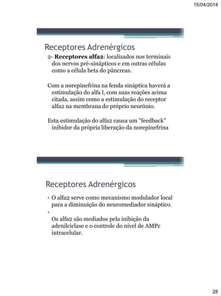 15/04/2014
28
Receptores Adrenérgicos
2- Receptores alfa2: localizados nos terminais
dos nervos pré-sinápticos e em outras células
como a célula beta do pâncreas.
Com a norepinefrina na fenda sináptica haverá a
estimulação do alfa l, com suas reações acima
citada, assim como a estimulação do receptor
alfa2 na membrana do próprio neurônio.
Esta estimulação do alfa2 causa um "feedback"
inibidor da própria liberação da norepinefrina
Receptores Adrenérgicos
• O alfa2 serve como mecanismo modulador local
para a diminuição do neuromediador sináptico.
•
Os alfa2 são mediados pela inibição da
adenilciclase e o controle do nível de AMPc
intracelular.
 