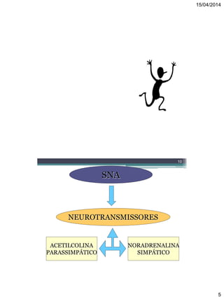 15/04/2014
5
9
OLHO:
1- Midríase
CORAÇÃO:
1 -  F.C. e Contratilidade
ARTERÍOLAS:
Pele e Mucosa - 1; 2 - Contração
Vísceras Abdominais - 1-
Contração
Músc. Esquelético - 2 - Dilatação
PULMÃO:
2 - Broncodilatação
FÍGADO:
2 - Gliconeogênese
MÚSCULO ESQUELÉTICO:
2 -  Contratilidade e
Glicogenólise
10
SNA
NEUROTRANSMISSORES
ACETILCOLINA
PARASSIMPÁTICO
NORADRENALINA
SIMPÁTICO
 