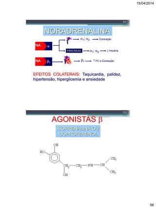 15/04/2014
56
111
NORADRENALINA
1

NA
NA 1; 2 Contração
1  FC e Contração
EFEITOS COLATERAIS: Taquicardia, palidez,
hipertensão, hiperglicemia e ansiedade

1; 2 Contração
PÂNCREAS 1; 2  Insulina
NA
112
AGONISTAS 
ISOPRENALINA OU
ISOPROTERENOL
 