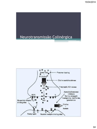 15/04/2014
64
Neurotransmissão Colinérgica
 