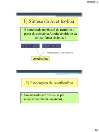 15/04/2014
66
131
1) Síntese da Acetilcolina
É sintetizado no citosol do neurônio a
partir da coenzima A (mitocôndria) e da
colina (fenda sináptica).
Coenzima A Colina
Catalizada pela O acetil transferase
Acetilcolina
132
2) Estocagem da Acetilcolina
• Armazenadas em vesículas pré
sinápticas (terminal axônico).
 