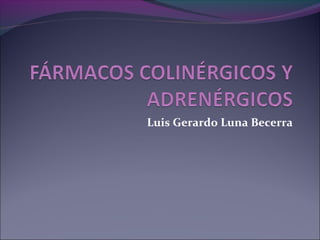 Luis Gerardo Luna Becerra

 