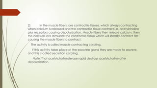2) In the muscle fibers, are contractile tissues, which always contracting
when calcium is released and the contractile tissue contract i.e. acetylcholine
plus receptors causing depolarization. Muscle fibers then release calcium, then
the calcium ions stimulate the contractile tissue which will literally contract first
causing the muscle fibers to contract.
The activity is called muscle contracting corpling.
If this activity takes place at the exocrine gland they are made to secrete,
and this is called secretion corpling.
Note: That acetylcholinesterase rapid destroys acetylcholine after
depolarization.
 