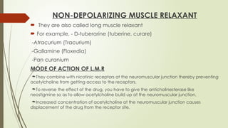 NON-DEPOLARIZING MUSCLE RELAXANT
 They are also called long muscle relaxant
 For example, - D-tuberarine (tuberine, curare)
-Atracurium (Tracurium)
-Gallamine (Floxedia)
-Pan curanium
MODE OF ACTION OF L.M.R
They combine with nicotinic receptors at the neuromuscular junction thereby preventing
acetylcholine from getting access to the receptors.
To reverse the effect of the drug, you have to give the anticholinesterase like
neostigmine so as to allow acetylcholine build up at the neuromuscular junction.
Increased concentration of acetylcholine at the neuromuscular junction causes
displacement of the drug from the receptor site.
 