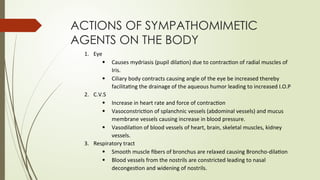 ACTIONS OF SYMPATHOMIMETIC
AGENTS ON THE BODY
1. Eye
 Causes mydriasis (pupil dilation) due to contraction of radial muscles of
Iris.
 Ciliary body contracts causing angle of the eye be increased thereby
facilitating the drainage of the aqueous humor leading to increased I.O.P
2. C.V.S
 Increase in heart rate and force of contraction
 Vasoconstriction of splanchnic vessels (abdominal vessels) and mucus
membrane vessels causing increase in blood pressure.
 Vasodilation of blood vessels of heart, brain, skeletal muscles, kidney
vessels.
3. Respiratory tract
 Smooth muscle fibers of bronchus are relaxed causing Broncho-dilation
 Blood vessels from the nostrils are constricted leading to nasal
decongestion and widening of nostrils.
 