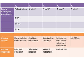 Adrenergic receptors and its modulators | PPTX