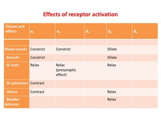 Adrenergic receptors and its modulators | PPTX