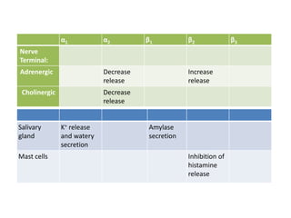Adrenergic receptors and its modulators | PPTX