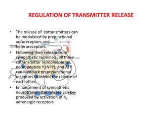 Adrenergic receptors and its modulators | PPTX