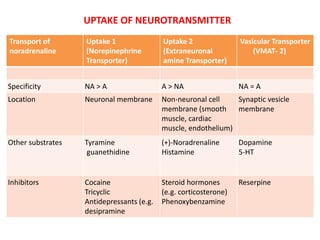 Adrenergic receptors and its modulators | PPTX