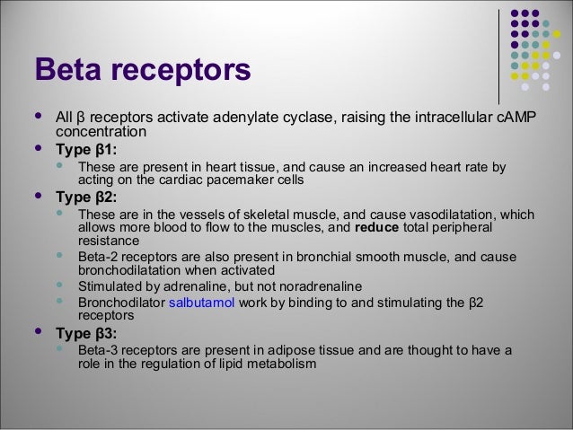 skeletal muscle contraction