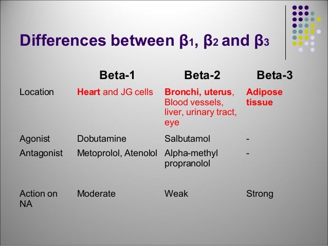 beta 2
