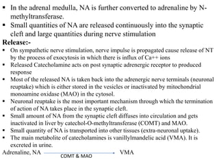  In the adrenal medulla, NA is further converted to adrenaline by N-
methyltransferase.
 Small quantities of NA are released continuously into the synaptic
cleft and large quantities during nerve stimulation
Release:-
 On sympathetic nerve stimulation, nerve impulse is propagated cause release of NT
by the process of exocytosis in which there is influx of Ca++ ions
 Released Catecholamine acts on post synaptic adrenergic receptor to produced
response
 Most of the released NA is taken back into the adrenergic nerve terminals (neuronal
reuptake) which is either stored in the vesicles or inactivated by mitochondrial
monoamine oxidase (MAO) in the cytosol.
 Neuronal reuptake is the most important mechanism through which the termination
of action of NA takes place in the synaptic cleft.
 Small amount of NA from the synaptic cleft diffuses into circulation and gets
inactivated in liver by catechol-O-methyltransferase (COMT) and MAO.
 Small quantity of NA is transported into other tissues (extra-neuronal uptake).
 The main metabolite of catecholamines is vanillylmandelic acid (VMA). It is
excreted in urine.
Adrenaline, NA VMA
COMT & MAO
 