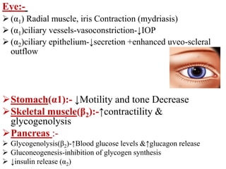 Eye:-
 (α1) Radial muscle, iris Contraction (mydriasis)
 (α1)ciliary vessels-vasoconstriction-↓IOP
 (α2)ciliary epithelium-↓secretion +enhanced uveo-scleral
outflow
Stomach(α1):- ↓Motility and tone Decrease
Skeletal muscle(β2):-↑contractility &
glycogenolysis
Pancreas :-
 Glycogenolysis(β2)-↑Blood glucose levels &↑glucagon release
 Gluconeogenesis-inhibition of glycogen synthesis
 ↓insulin release (α2)
 