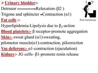 Urinary bladder:-
Detrusor Relaxation (β2 )
Trigone and sphincter Contraction (α1)
Fat cells :-
Hyperlipidemia-Lipolysis due to β3-action
Blood platelets:- β receptor-promote aggregation
Skin:- sweat gland (α1)-sweating,
pilomotor muscle(α1)-contraction, piloerection
Vas deferens:- α1-contraction (ejaculation)
Kidney:- JG cells- β1-promote renin release
Poor micturition
 