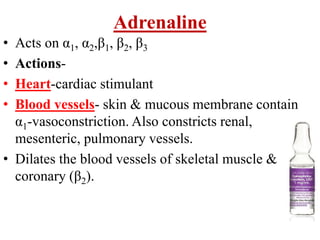 Adrenaline
• Acts on α1, α2,β1, β2, β3
• Actions-
• Heart-cardiac stimulant
• Blood vessels- skin & mucous membrane contain
α1-vasoconstriction. Also constricts renal,
mesenteric, pulmonary vessels.
• Dilates the blood vessels of skeletal muscle &
coronary (β2).
 