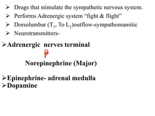  Drugs that stimulate the sympathetic nervous system.
 Performs Adrenergic system “fight & flight”
 Dorsolumbar (T1, To L2)outflow-sympathomamitic
 Neurotransmitters-
Adrenergic nerves terminal

Norepinephrine (Major)
Epinephrine- adrenal medulla
Dopamine
 