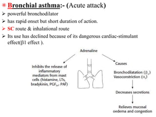 ⁕ Bronchial asthma:- (Acute attack)
 powerful bronchodilator
 has rapid onset but short duration of action.
 SC route & inhalational route
 Its use has declined because of its dangerous cardiac-stimulant
effect(1 effect ).
 