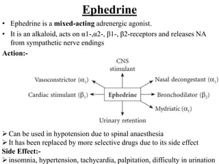 Ephedrine
• Ephedrine is a mixed-acting adrenergic agonist.
• It is an alkaloid, acts on α1-,α2-, β1-, β2-receptors and releases NA
from sympathetic nerve endings
Action:-
Can be used in hypotension due to spinal anaesthesia
It has been replaced by more selective drugs due to its side effect
Side Effect:-
insomnia, hypertension, tachycardia, palpitation, difficulty in urination
 